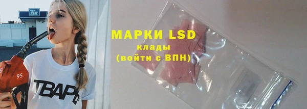 стаф Россошь
